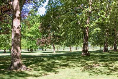 Hyde Park